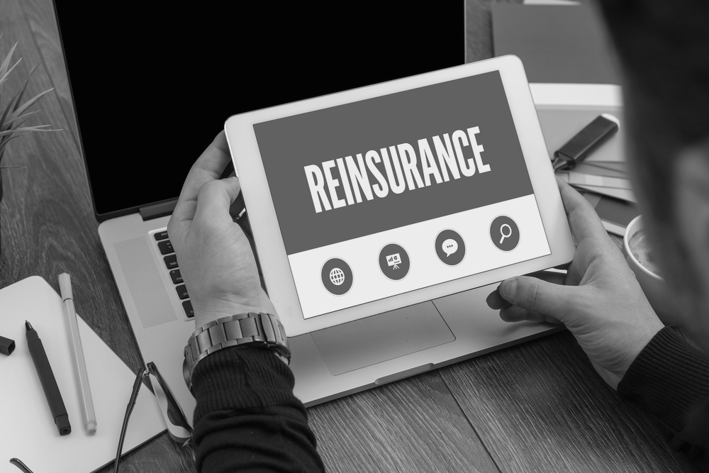 what is reinsurance